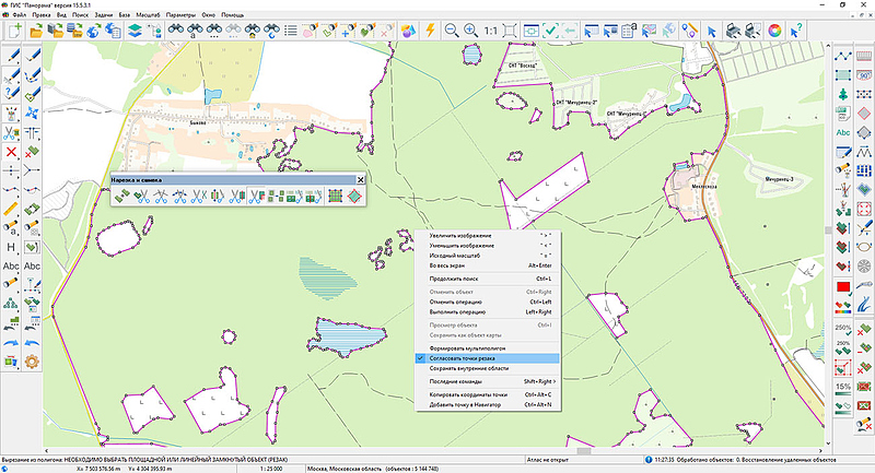 File:ГИС Панорама версии 15.5.3 4.jpg