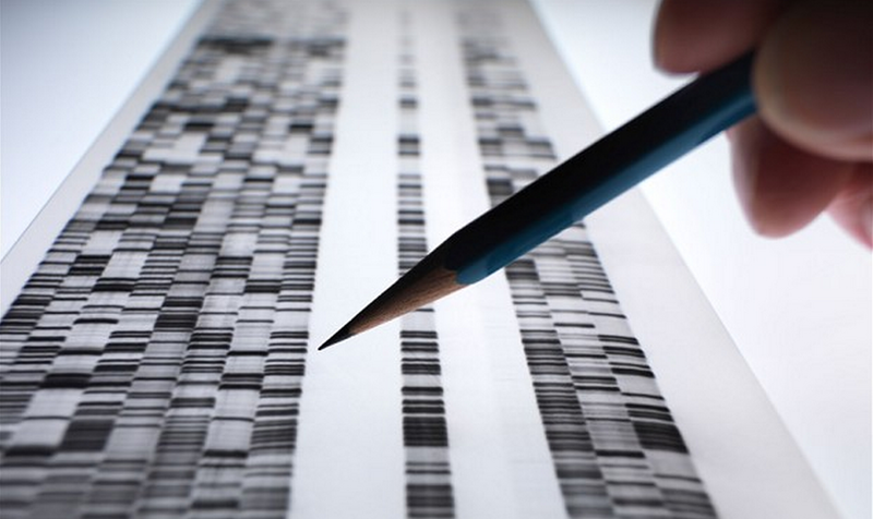 File:Dna-database.png