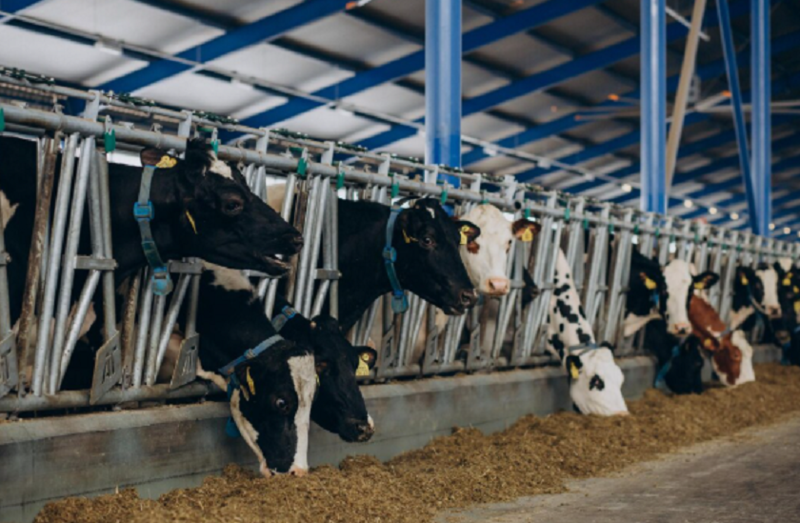 File:2025-11-17 15-31-50.png